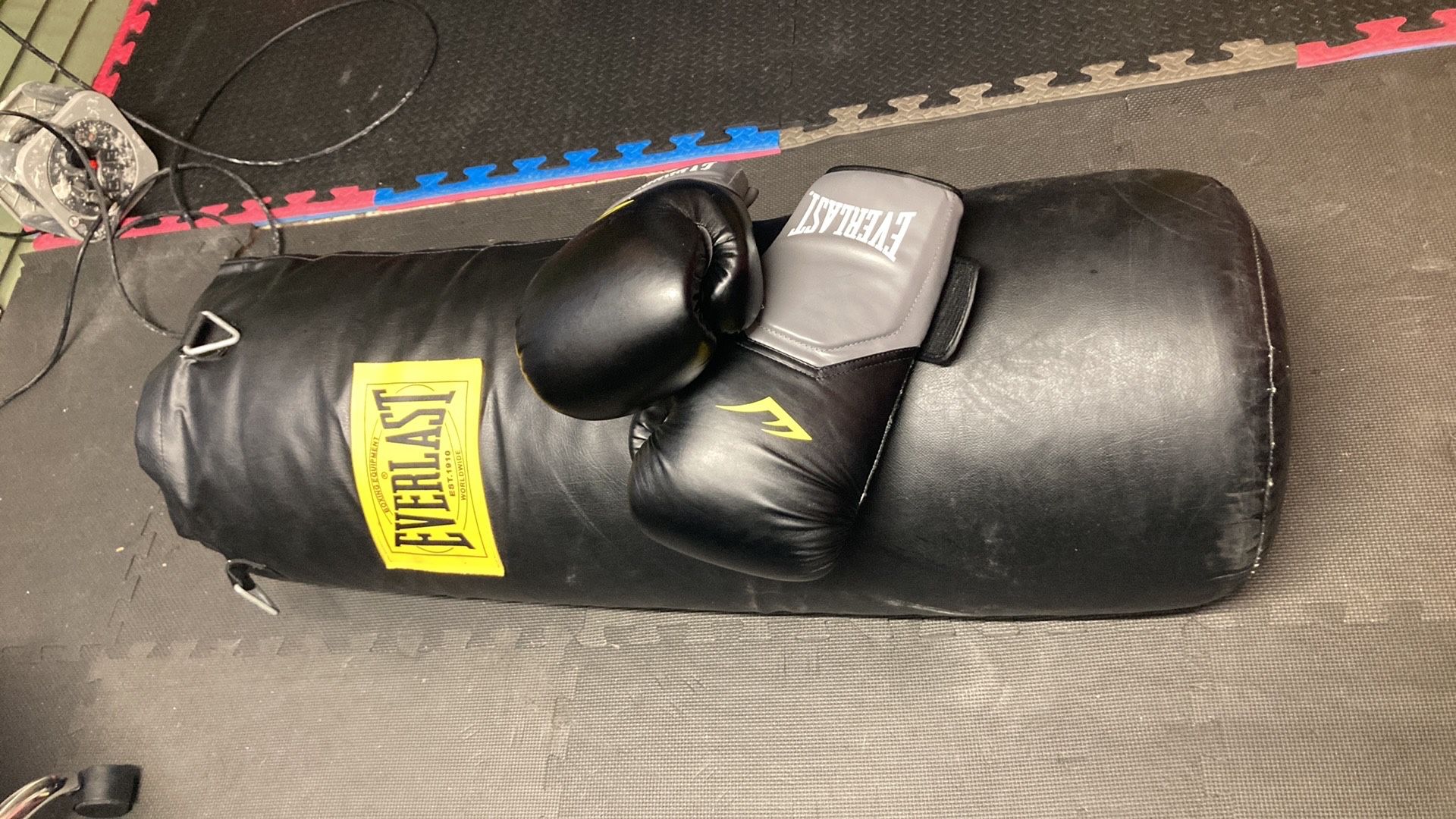 Everlast Heavy and Durable Boxing Bag