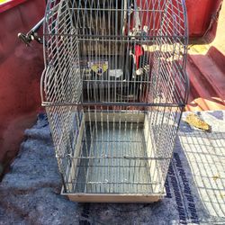 Bird Cage