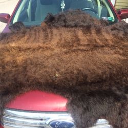 Buffalo Hide