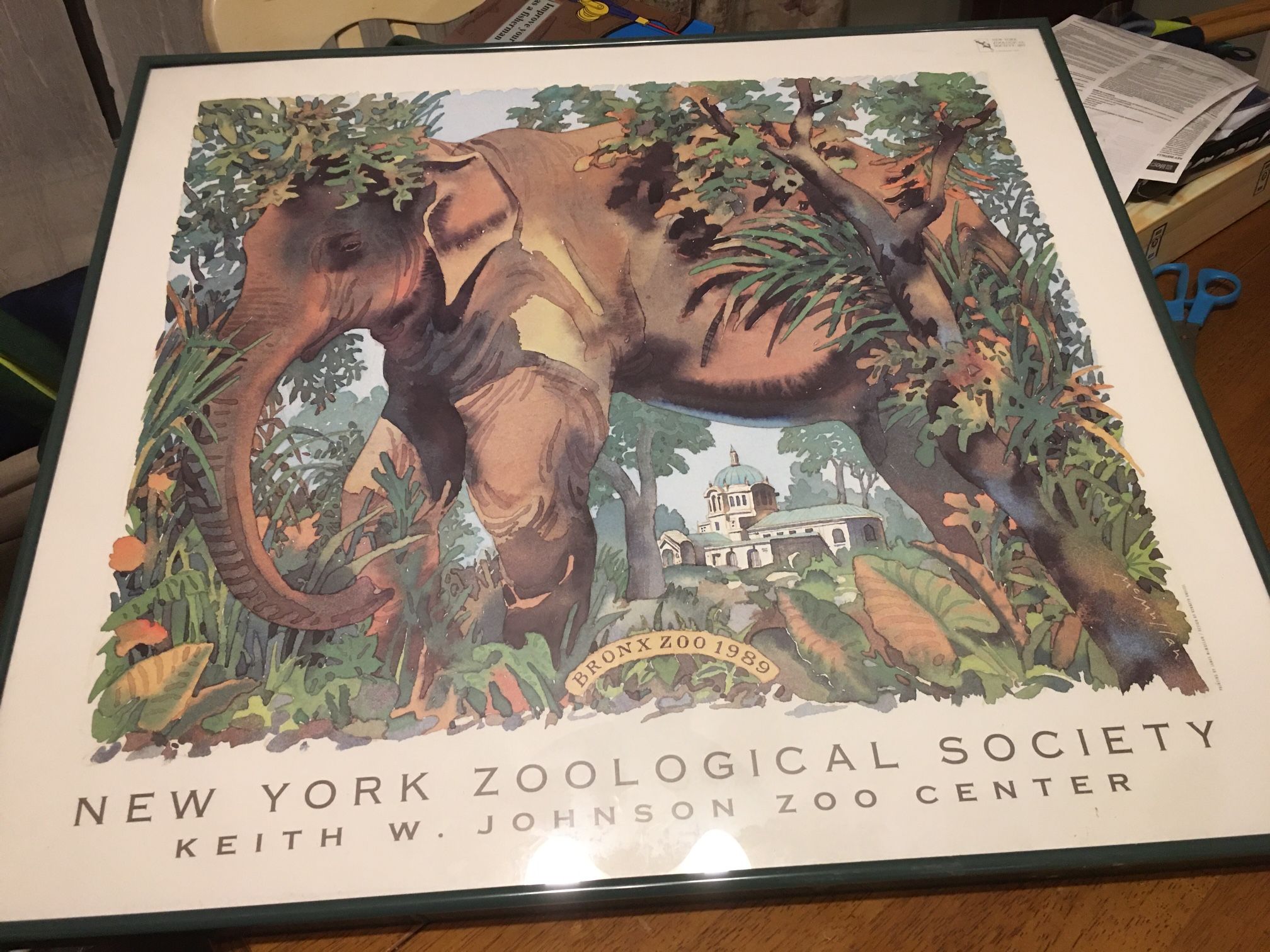 Rare framed poster Bronx Zoo 1989 New York Zoological Society