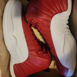 Jordan Retro 12