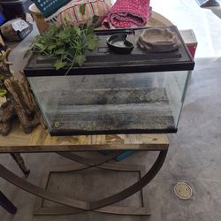 Aquarium/Terrarium 10 Gallon 