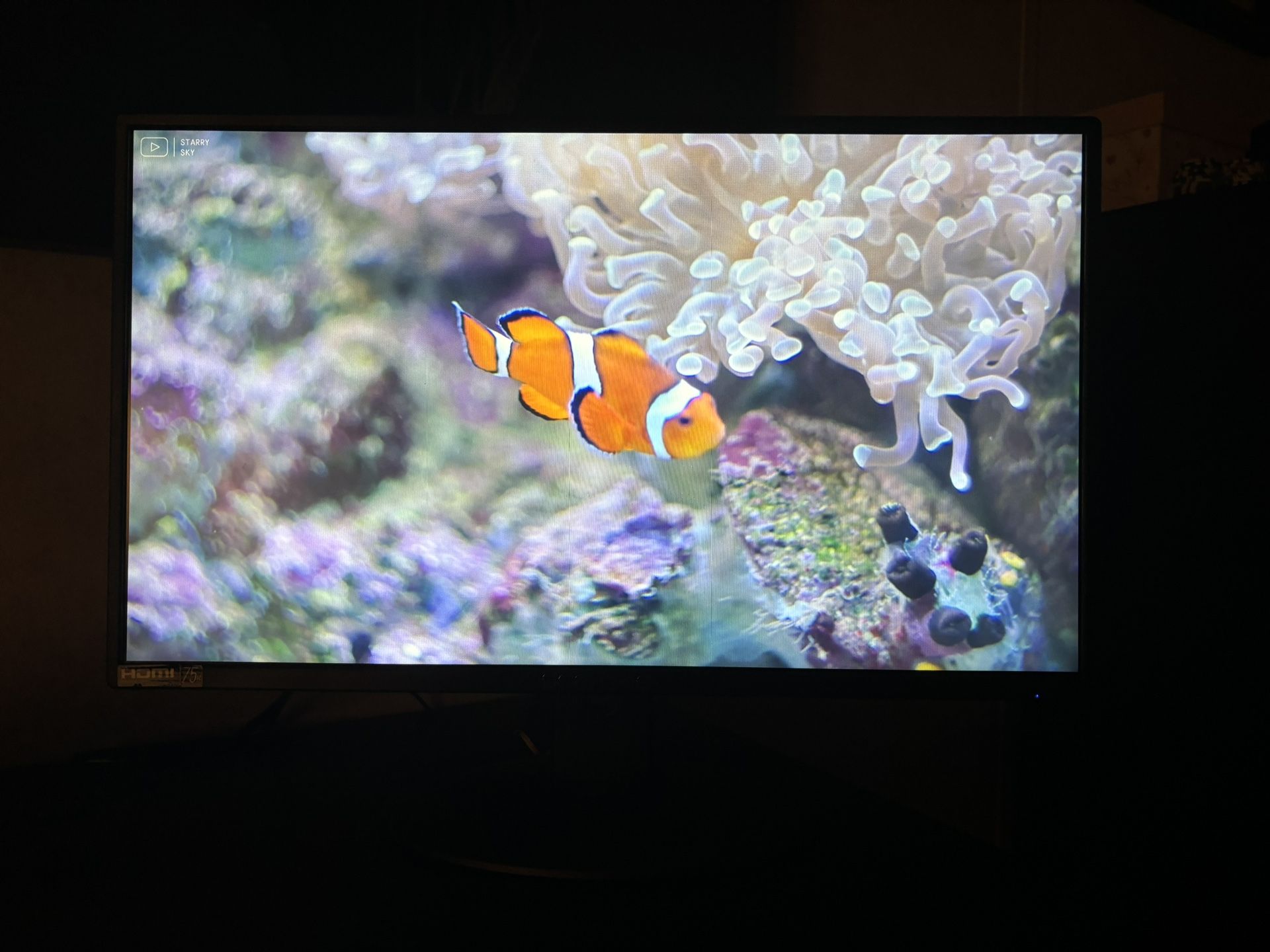 Ultra HD Gaming Monitor