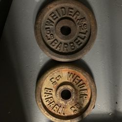 Barbell & Weights 