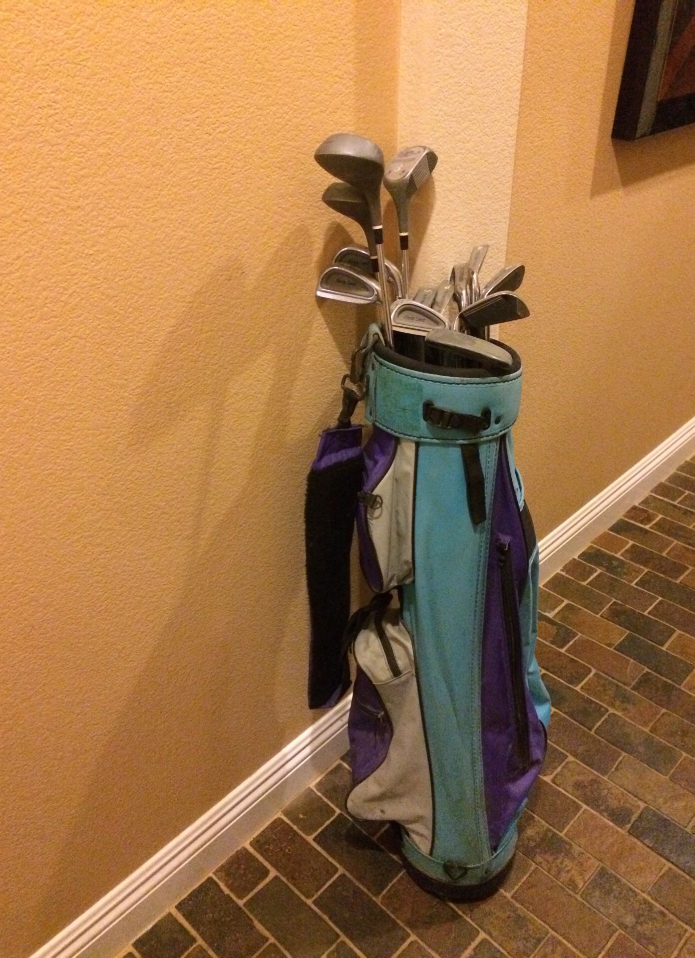 Golf club set women’s Northwestern with bag- Nancy Lopez & Judy Rankin