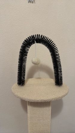 Cat Brush and Scratch