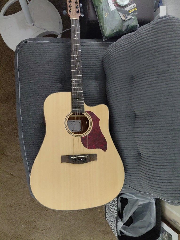 Donner Guitar