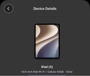 iPad 10.9 inch Cellular
