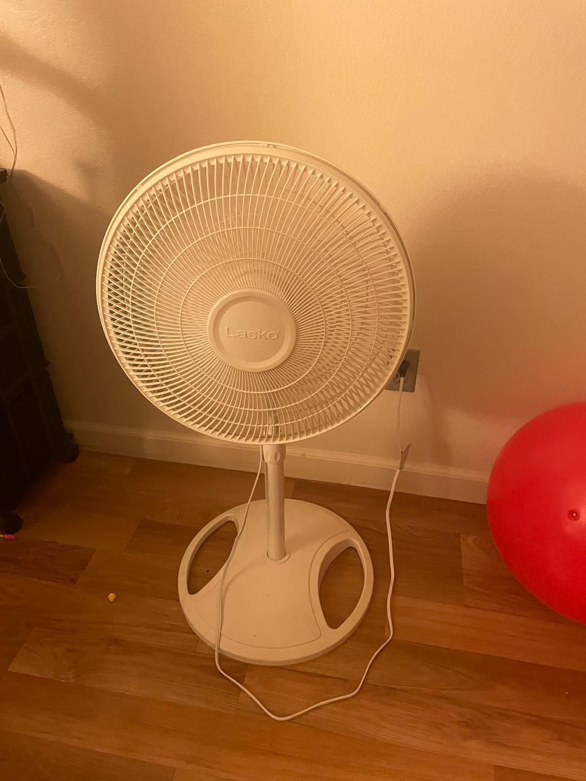 Fan