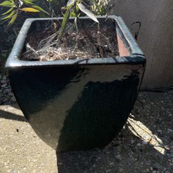 Planters With Dark Teal Blue Glaze 