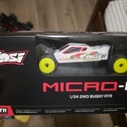 Losi Micro-B 1/24  Scale RtR