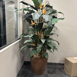 6’ Birds of Paridise artificial plant