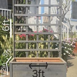 Planter Boxs With Trellis 