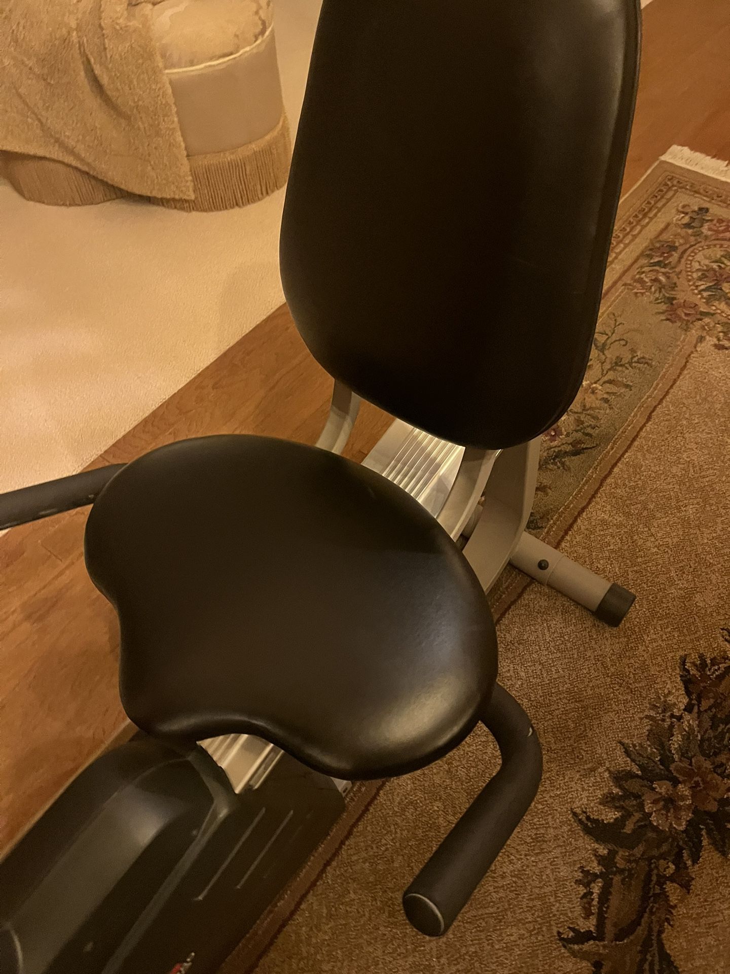 recumbent exercise bike