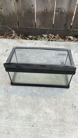 Small terrarium