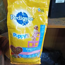 Pedigree Puppy Chicken And Vegetable Flavor