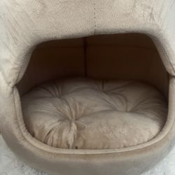 Cat Bed! 