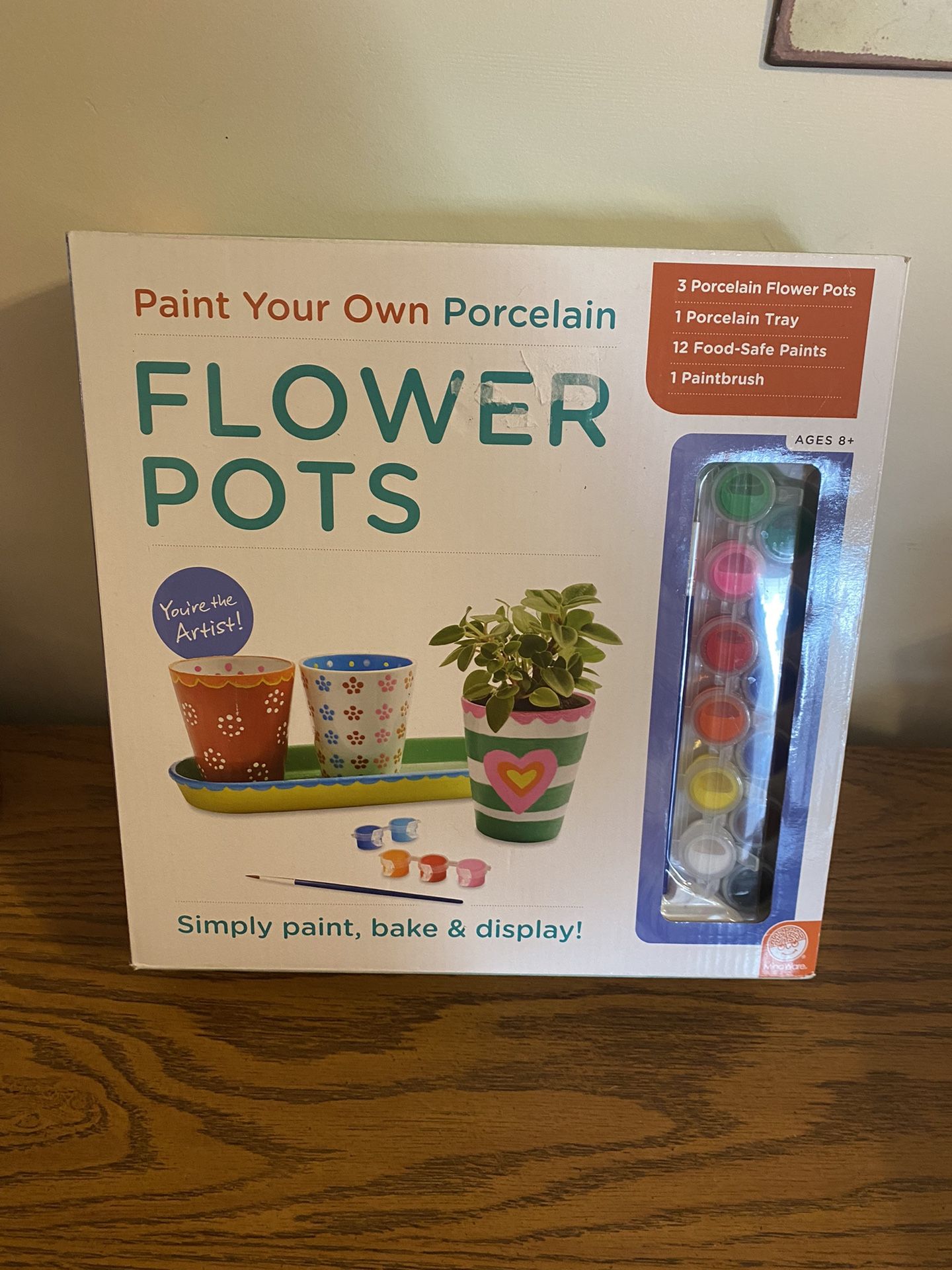 Nib Paint Your Own Porcelain Flower Pot Kit