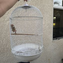 White Bird Cage 
