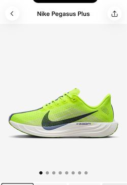 Pegasus Nike Women’s