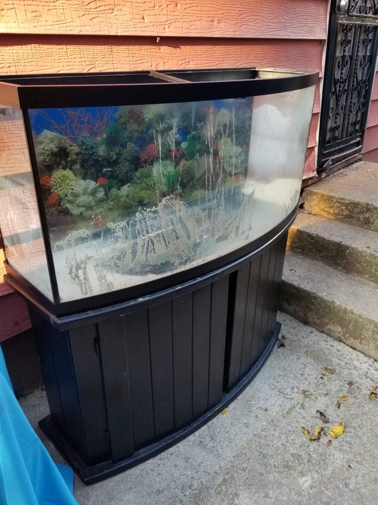 72 Gallon Bow Fish Tank