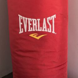 Everlast 70lb MMA Punching Bag with Gloves