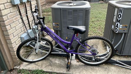RoadMaster Bike