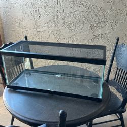 20 Gallon Tank