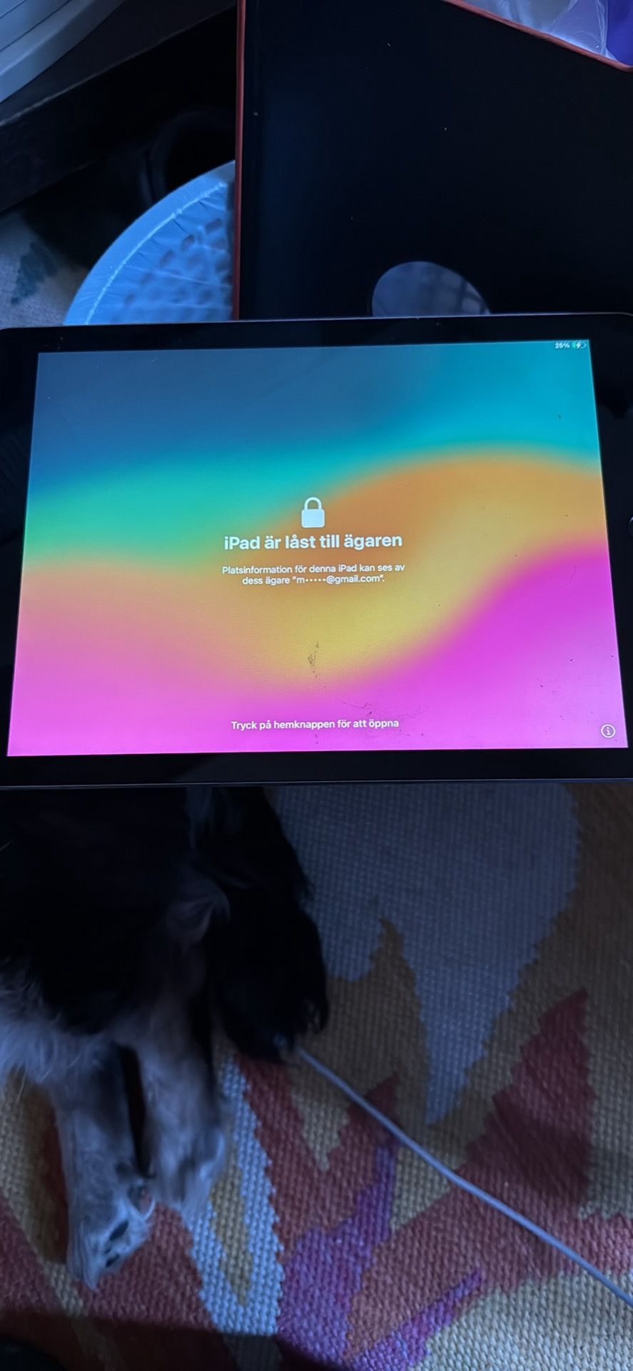 iPad Generation 6th