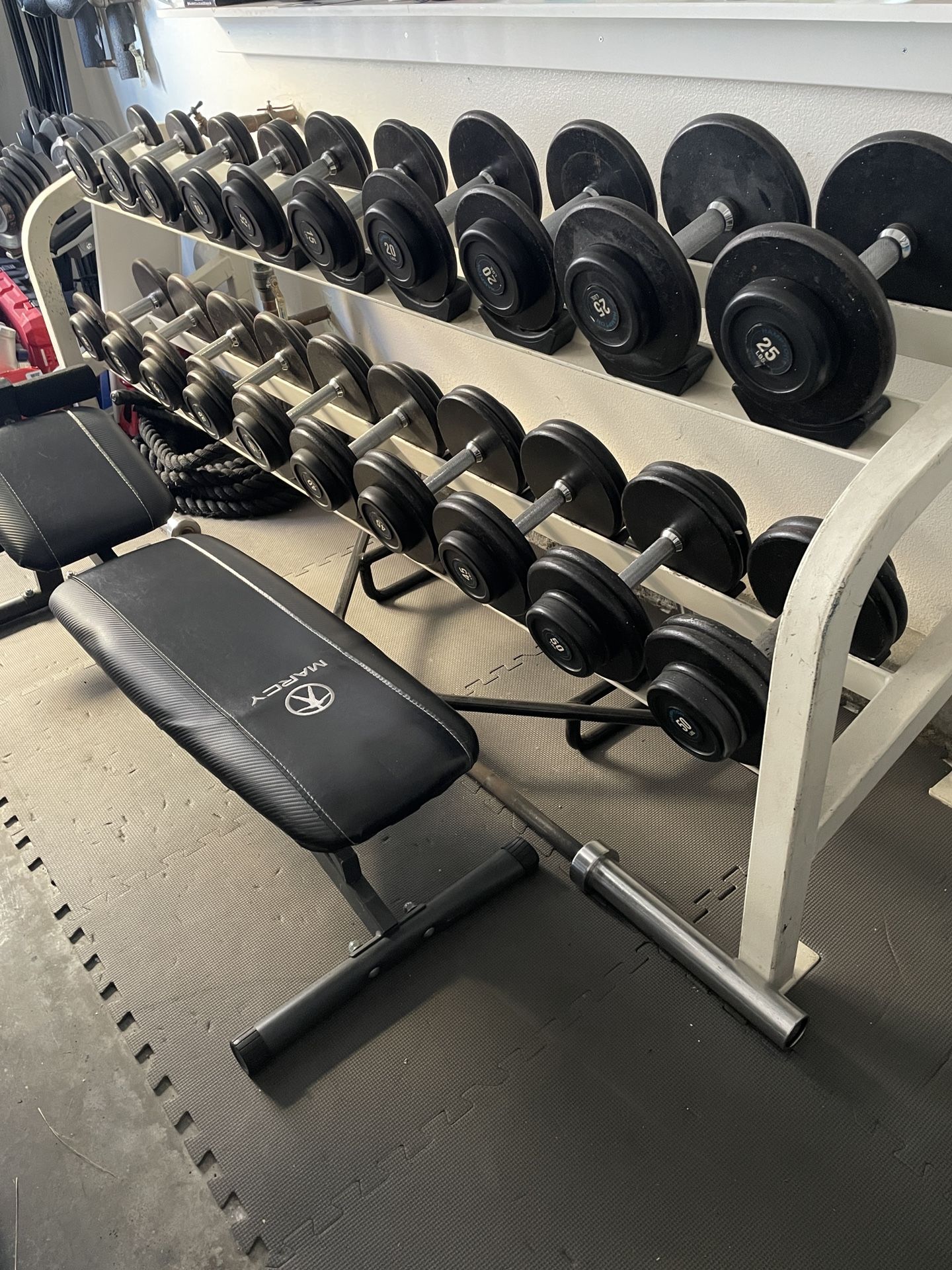 Dumbbell Set + rack + bench (5 - 50lbs)