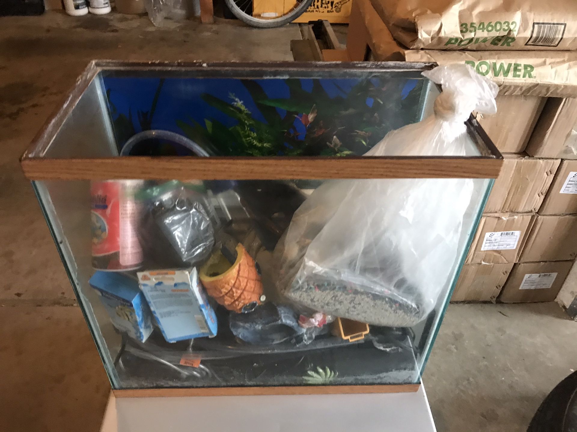 Fish tank with filter, air pump, water heater, food, decorations.