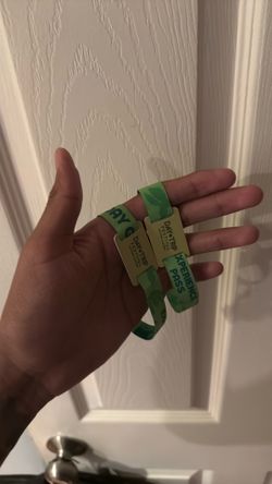 (2) 2 day daytrip wristbands