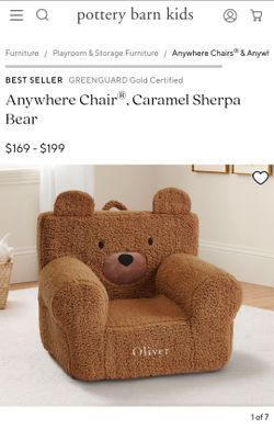 Pottery Barn Teddy Bear Anywhere Chair - Excellent Condition