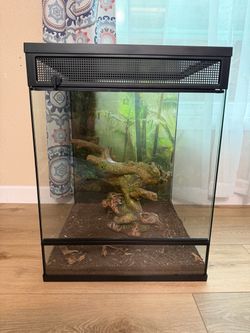 Thrive Glass Reptile Terrarium with Mesh Top