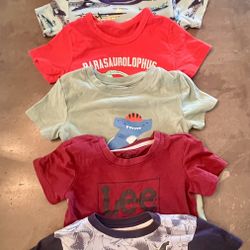 Youth Bundle 3T Short Sleeved T Shirts X21