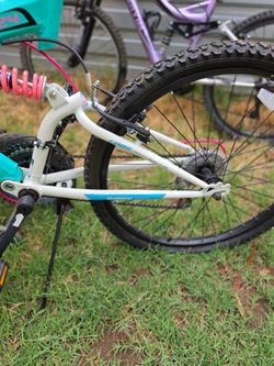 Bicycle  vertical alpine eagle