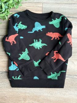Cat & Jack Dinosaur Sweatshirt Size 3T