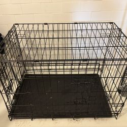 Dog Kennel 