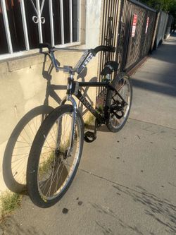 Throne 29er