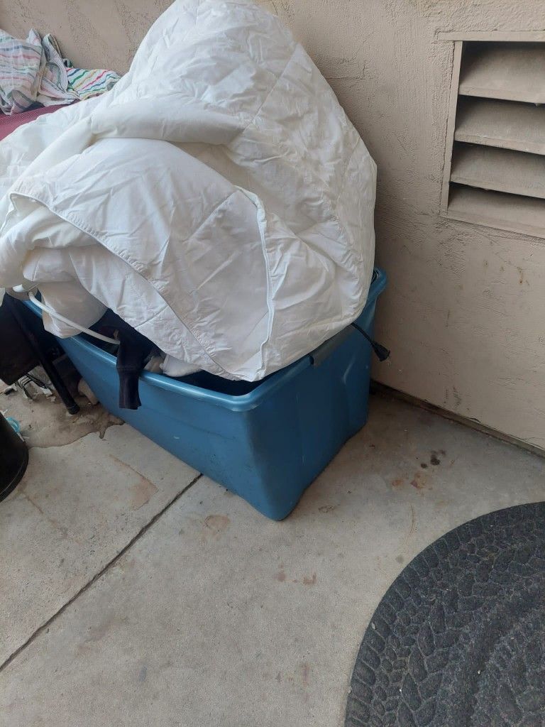 Todo Es Gratis Si los Nesesitas Nada Es Separado