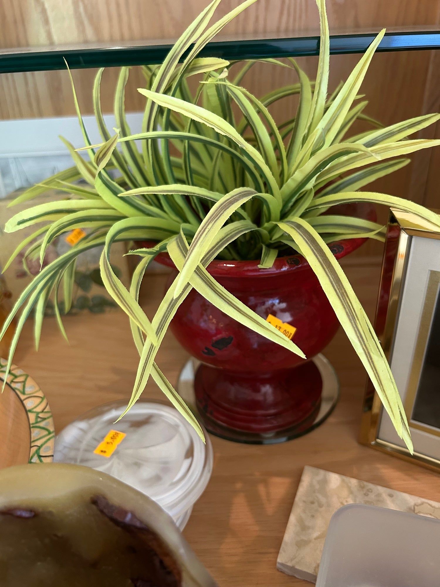 Vibrant Faux Variegated Plant in Red Decorative Pot