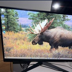 LG GAMING MONITOR