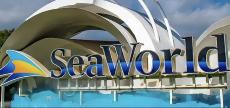 $15 Each Seaworld Tickets