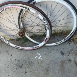 Fixie Bicycle Tires And Rims