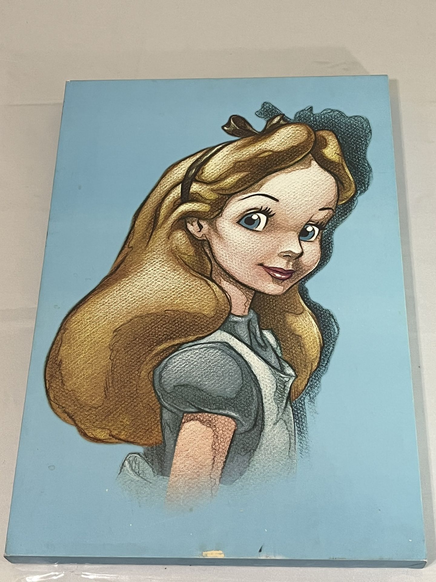 Disney Store Exclusive Alice in Wonderland Art Canvas 23x16