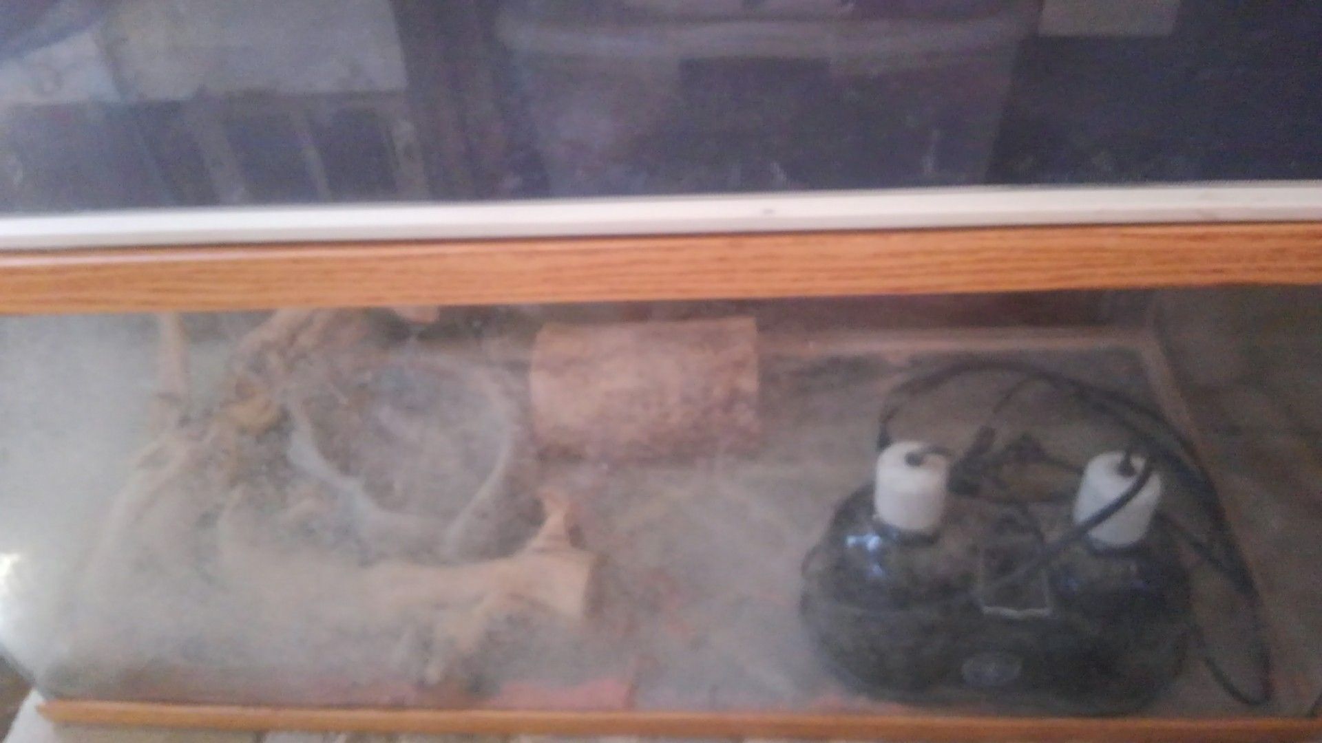 Lizard cage.