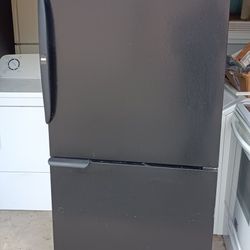 Bottom Freezer Fridge 