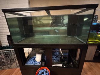 230-260 gallon Short Wide body glass tank