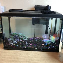 Top Fin 5 Gallon Fish Tank