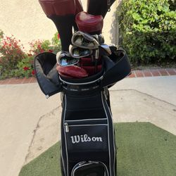 Complete Wilson Sets With Golf Cart Bag (been Using Few Times/when I Travel To Asia)